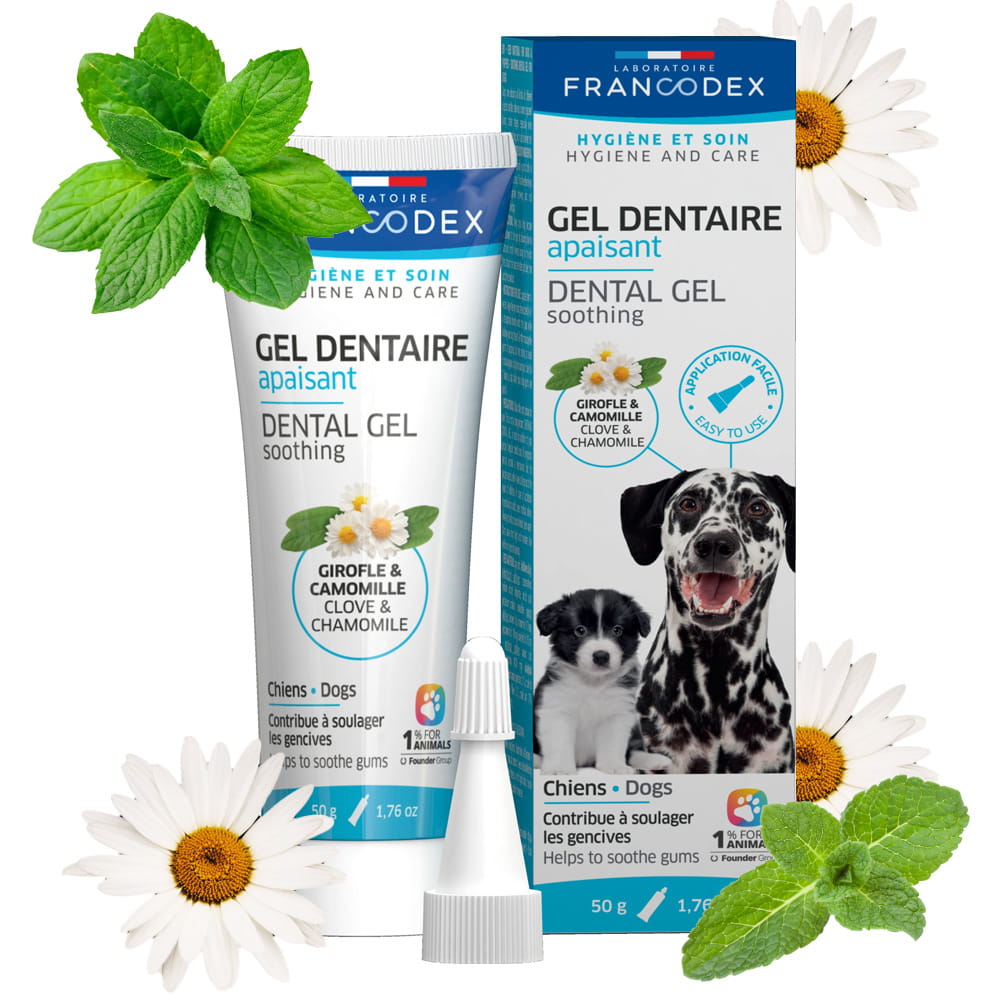 Francodex Żel Dentystyczny Dla Psa Łagodzący i Przeciwzapalny 50g